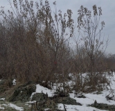 Ход строительства дома 3, секция 3.1 в ЖК Расцветай в Новолуговом -