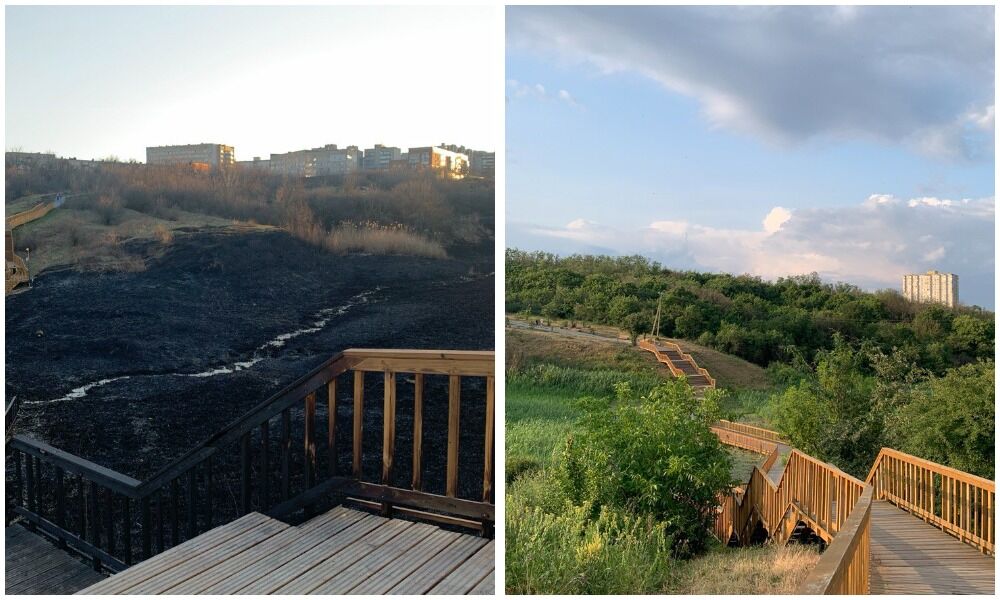 Уникальный экопарк: как в Аксае вернули к жизни Мухину балку - фото 6