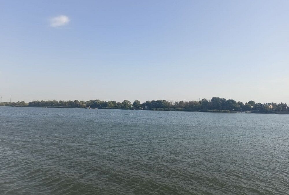 Ростовский водоканал заплатит ₽272 млн за загрязнение Дона - фото 1