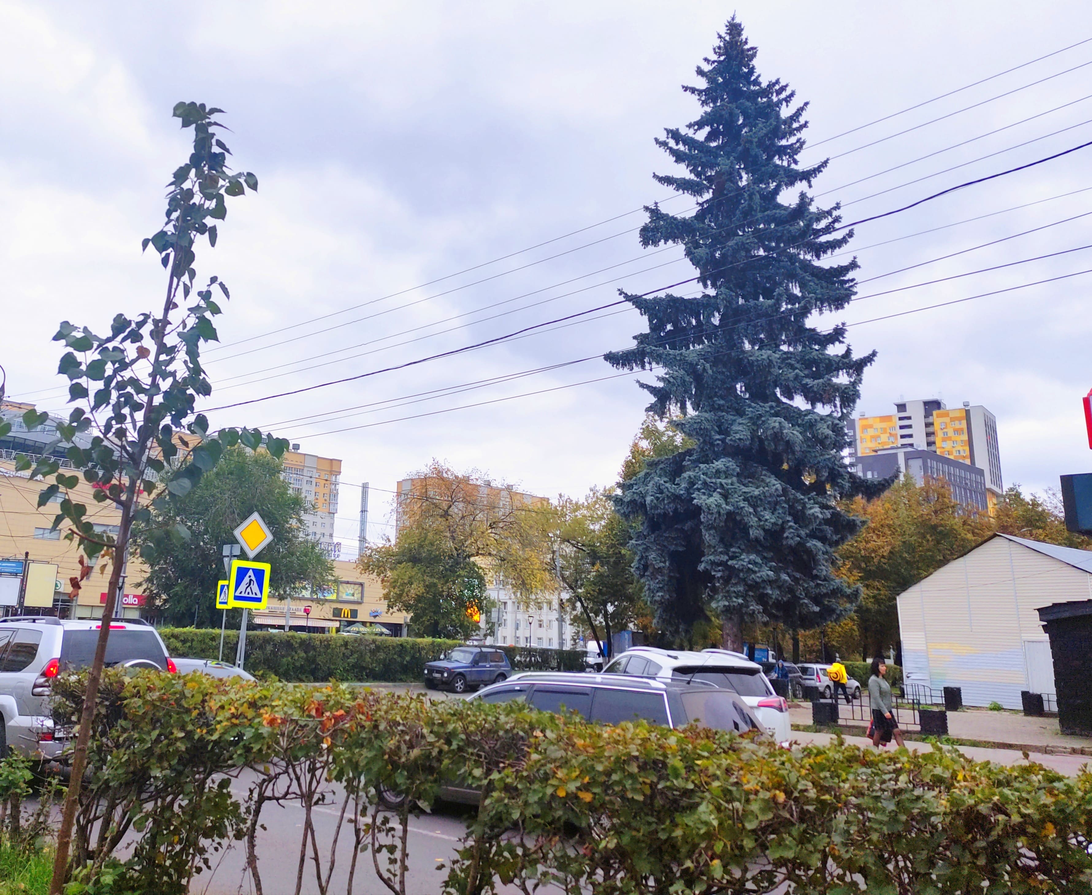 QR-код появится у «живого памятника» в Сормовском районе Нижнего Новгорода - фото 1