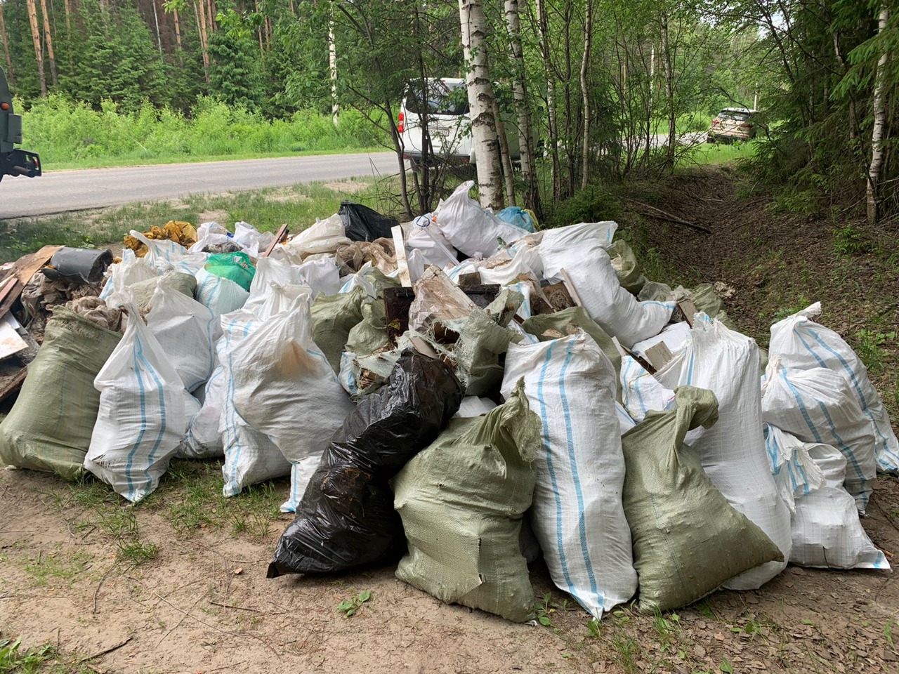 39 несанкционированных свалок ликвидировали в лесах Нижегородской области