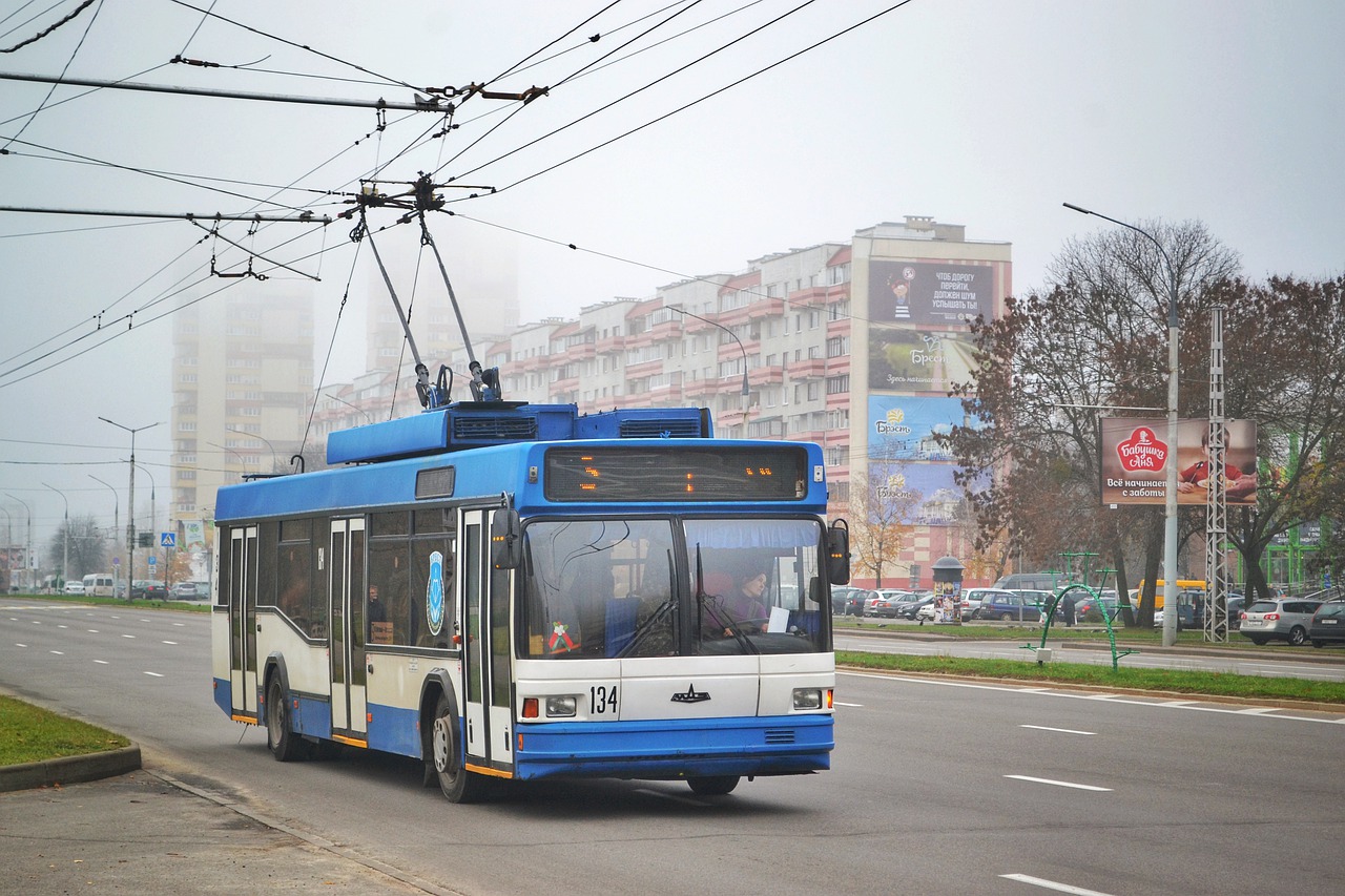 Два троллейбусных маршрута вернут на воронежские улицы - фото 1