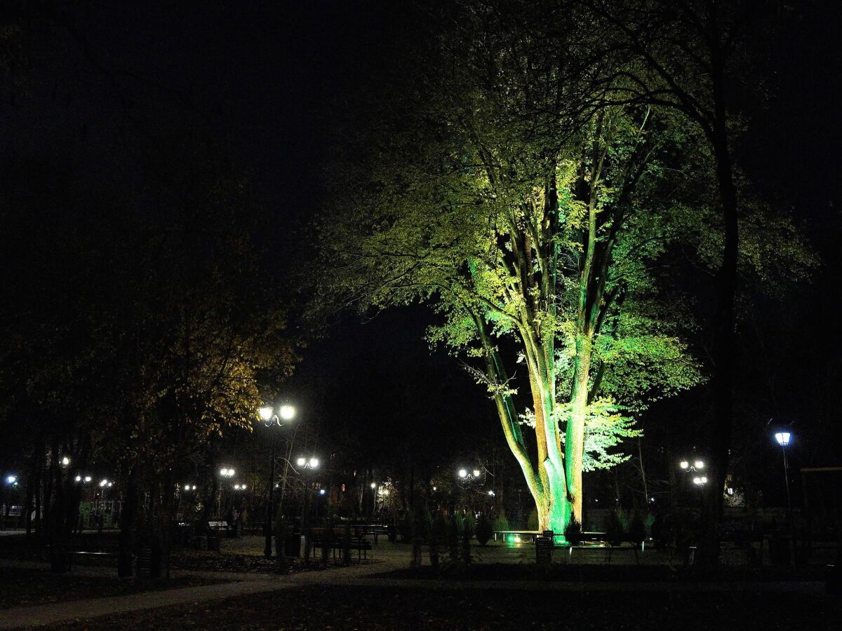 В Ростове повредили игровой комплекс в только что открывшемся сквере Оганова - фото 2