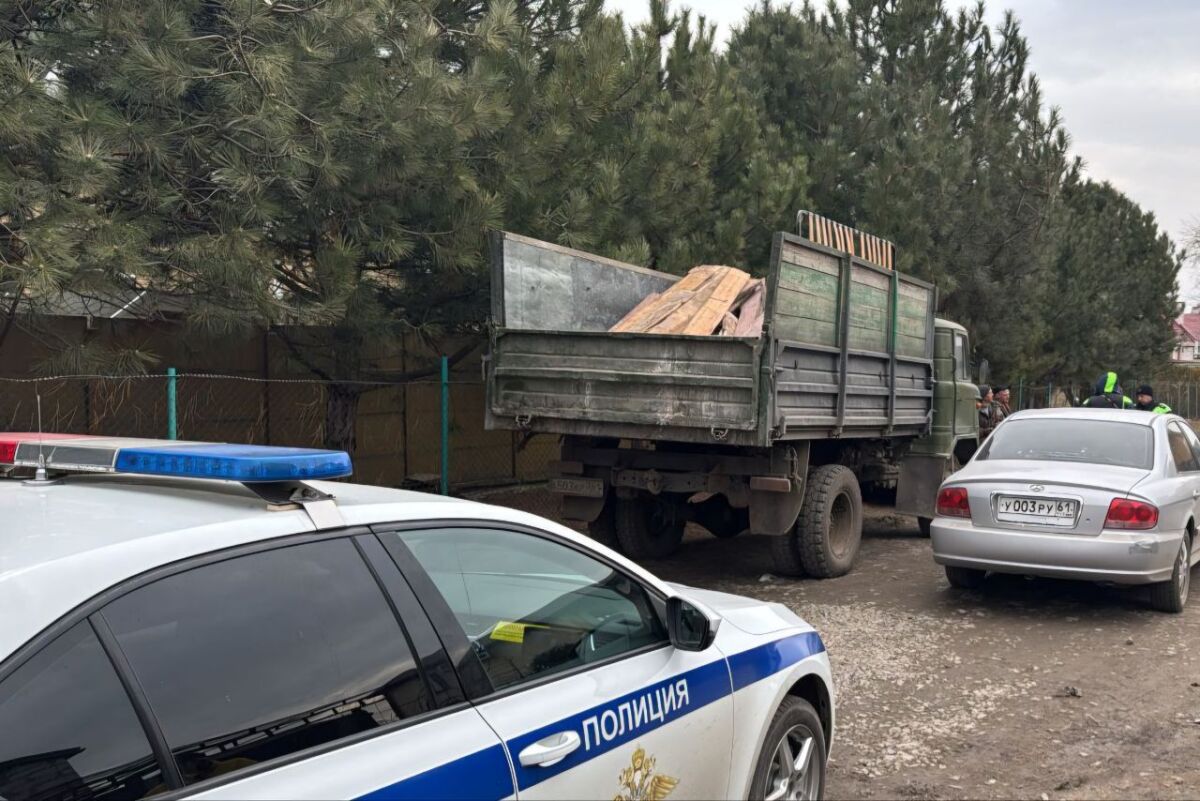 В девяти городах и районах Ростовской области выявили серых возчиков мусора - фото 1