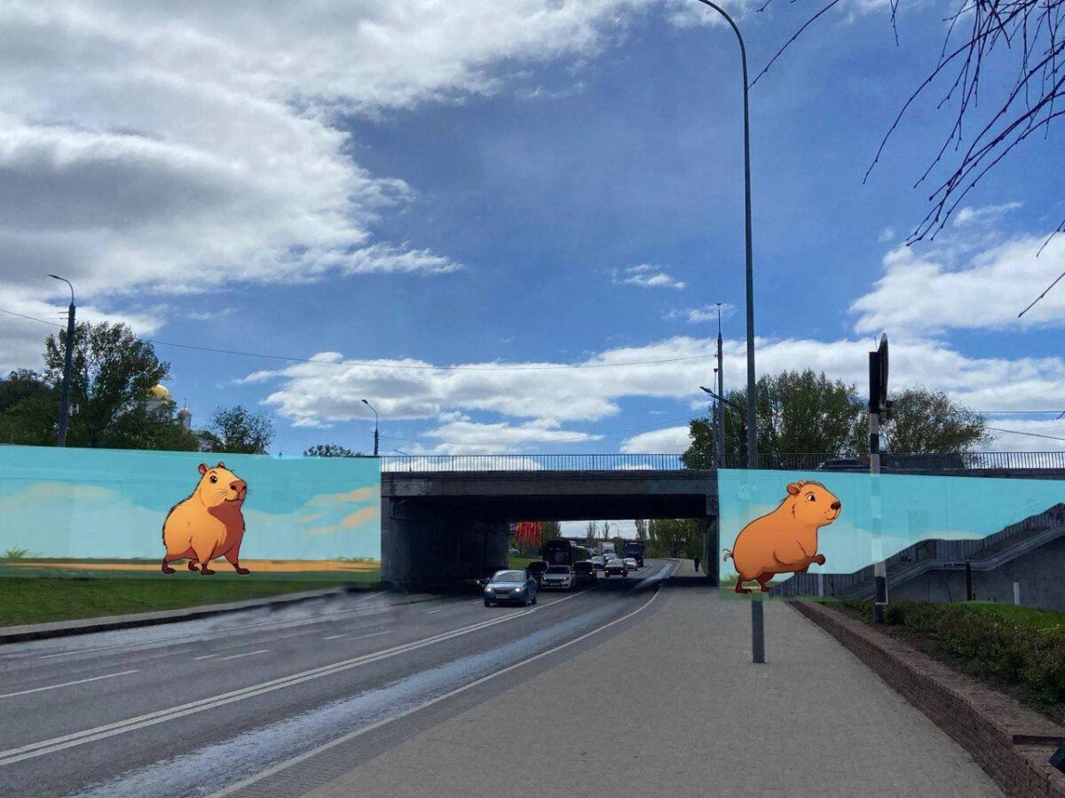 Капибары на Канавинском мосту оказались зарисовкой для будущих граффити