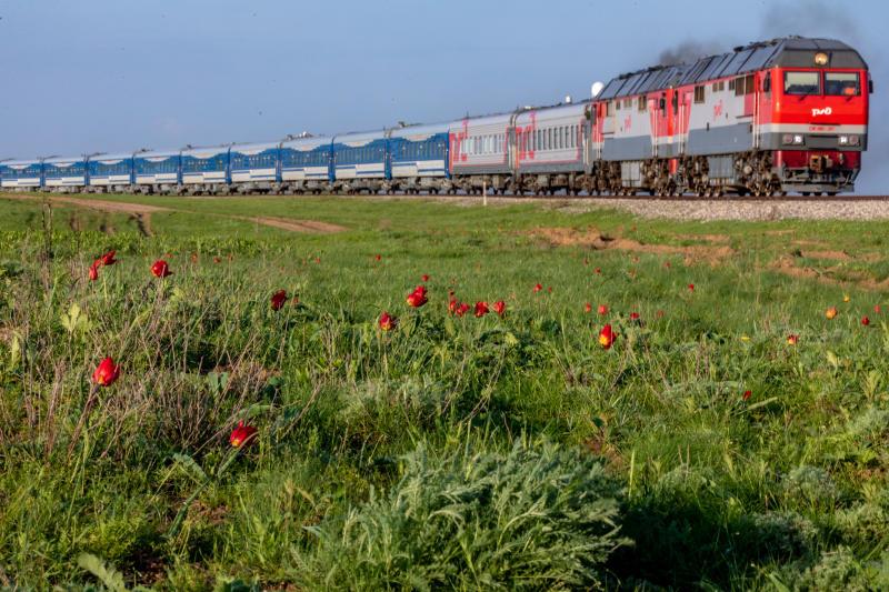 Выросло число задержанных из-за атаки БПЛА поездов в Ростовской области - фото 1