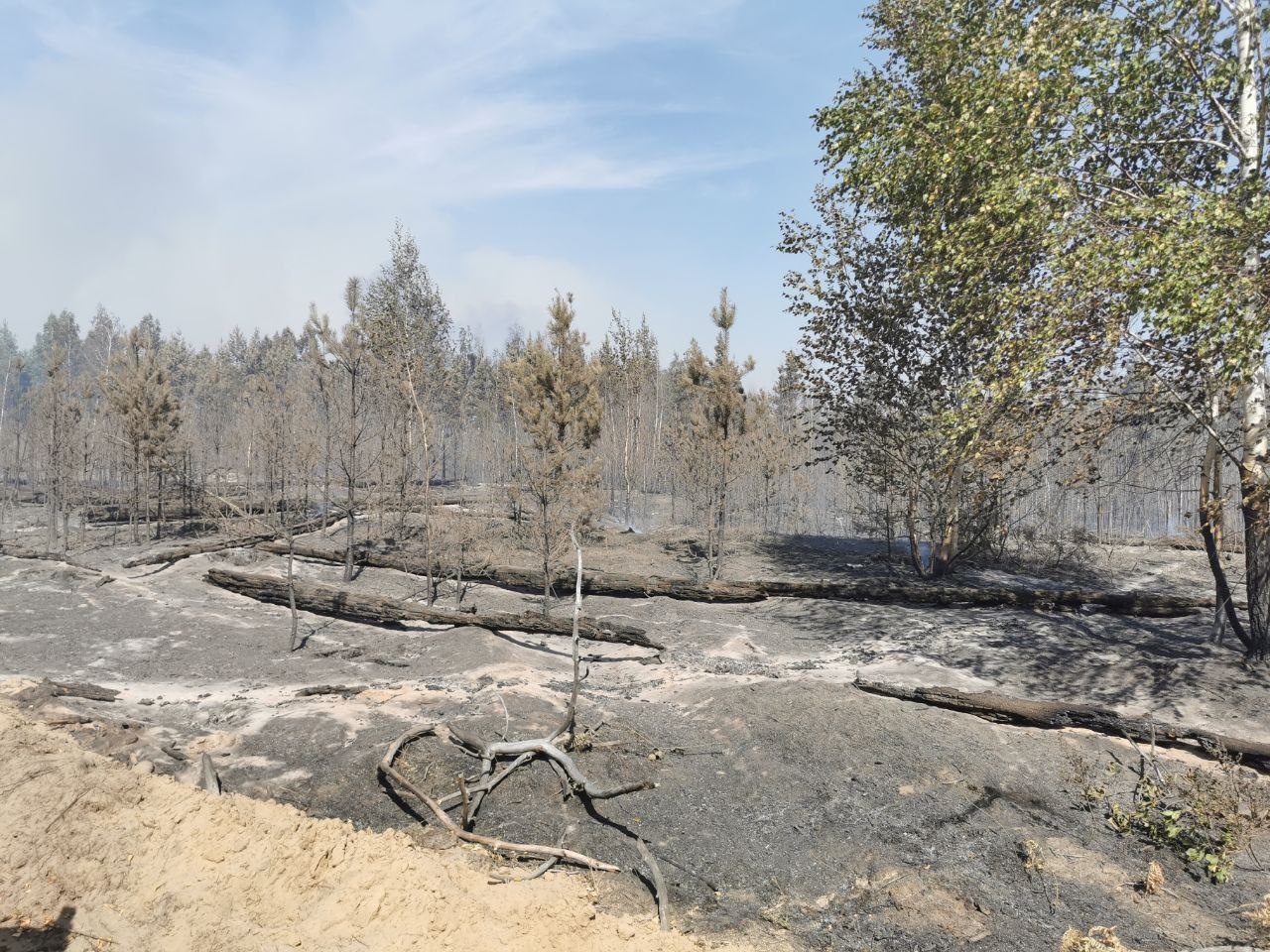 Площадь активного горения в Воротынском лесу уменьшилась до 61 гектара