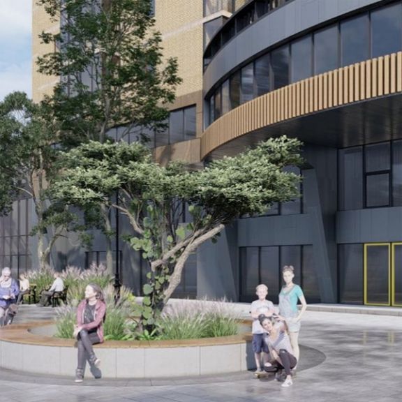 На ул. Сержантова в Ростове-на-Дону высадят платаны и установят арт-объекты в 2022 году